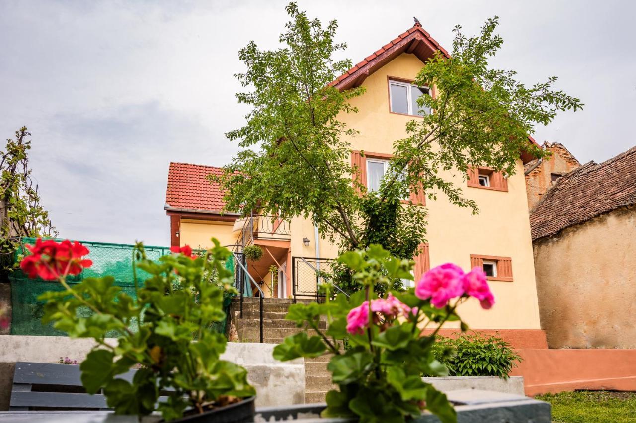 Gabi'S Home #1 Сигишоара Экстерьер фото